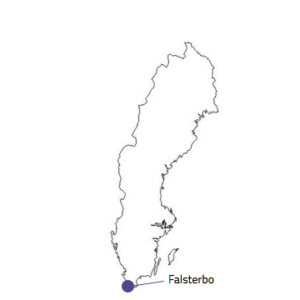 Birdwatching-Falsterbo